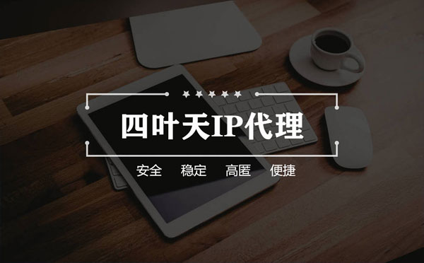 【常德代理IP】如何快速搭建代理IP？怎么检查代理的效果？